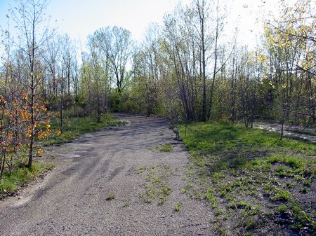 Miracle Mile Drive-In Theatre - Driveway - Photo From Water Winter Wonderland (newer photo)